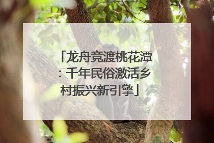 龙舟竞渡桃花潭：千年民俗激活乡村振兴新引擎