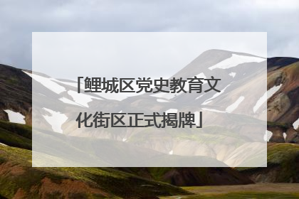 鲤城区党史教育文化街区正式揭牌