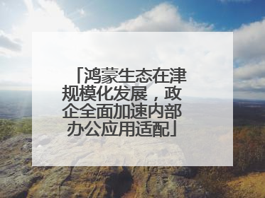 鸿蒙生态在津规模化发展，政企全面加速内部办公应用适配