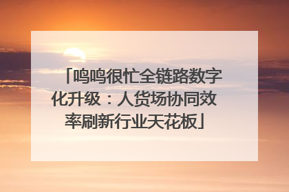 鸣鸣很忙全链路数字化升级：人货场协同效率刷新行业天花板
