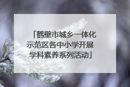 鹤壁市城乡一体化示范区各中小学开展学科素养系列活动