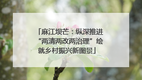 麻江坝芒：纵深推进“两清两改两治理”绘就乡村振兴新图景