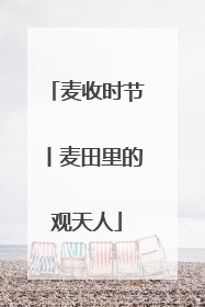 麦收时节丨麦田里的观天人