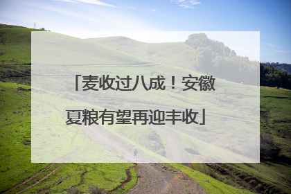 麦收过八成！安徽夏粮有望再迎丰收