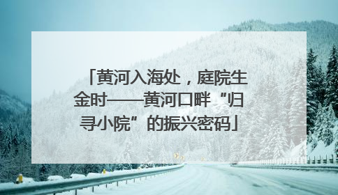 黄河入海处，庭院生金时——黄河口畔“归寻小院”的振兴密码
