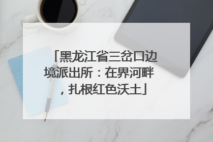 黑龙江省三岔口边境派出所：在界河畔，扎根红色沃土