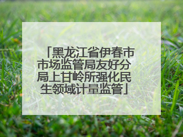 黑龙江省伊春市市场监管局友好分局上甘岭所强化民生领域计量监管