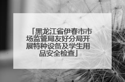 黑龙江省伊春市市场监管局友好分局开展特种设备及学生用品安全检查