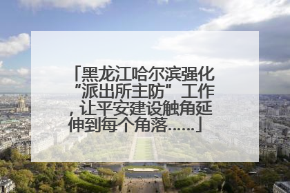 黑龙江哈尔滨强化“派出所主防”工作，让平安建设触角延伸到每个角落……