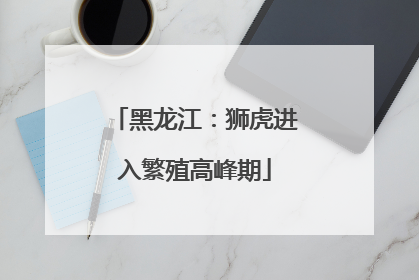 黑龙江：狮虎进入繁殖高峰期