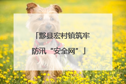 黟县宏村镇筑牢防汛“安全网”