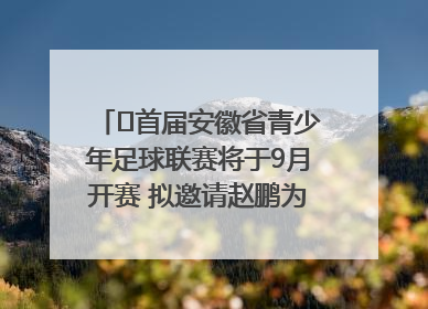 ﻿首届安徽省青少年足球联赛将于9月开赛 拟邀请赵鹏为先导赛开球