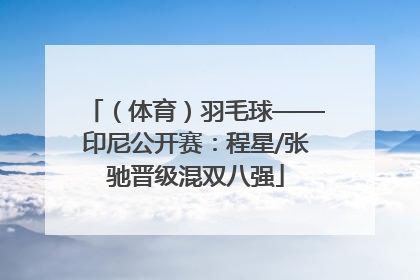 （体育）羽毛球——印尼公开赛：程星/张驰晋级混双八强