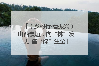 （乡村行·看振兴）山西襄垣：向“林”发力 借“绿”生金