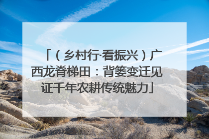（乡村行·看振兴）广西龙脊梯田：背篓变迁见证千年农耕传统魅力