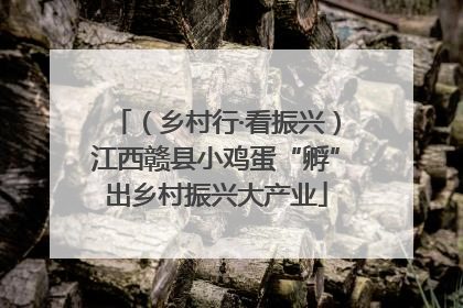（乡村行·看振兴）江西赣县小鸡蛋“孵”出乡村振兴大产业
