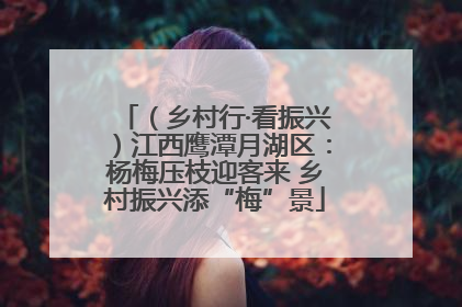 （乡村行·看振兴）江西鹰潭月湖区：杨梅压枝迎客来 乡村振兴添“梅”景