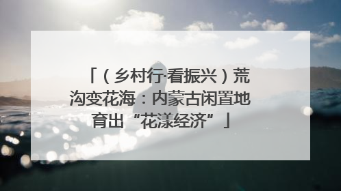 （乡村行·看振兴）荒沟变花海：内蒙古闲置地育出“花漾经济”