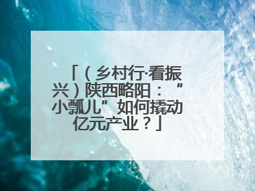（乡村行·看振兴）陕西略阳：“小瓢儿”如何撬动亿元产业？