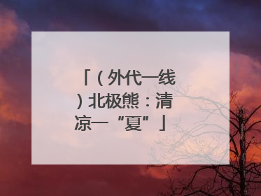 （外代一线）北极熊：清凉一“夏”