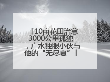 10亩花田治愈3000公里孤独，广水独眼小伙与他的“无尽夏”