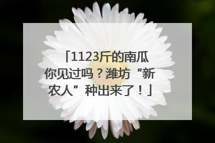 1123斤的南瓜你见过吗？潍坊“新农人”种出来了！