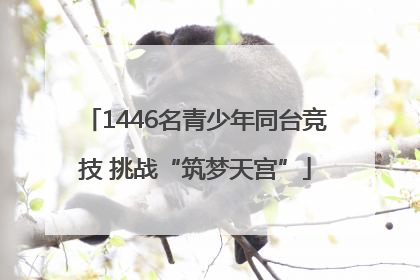 1446名青少年同台竞技 挑战“筑梦天宫”