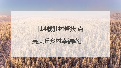 14载驻村帮扶 点亮灵丘乡村幸福路