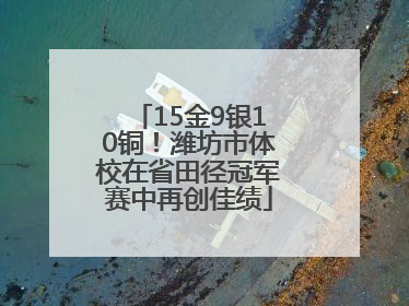 15金9银10铜！潍坊市体校在省田径冠军赛中再创佳绩