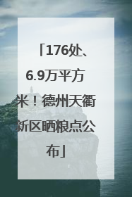 176处、6.9万平方米！德州天衢新区晒粮点公布