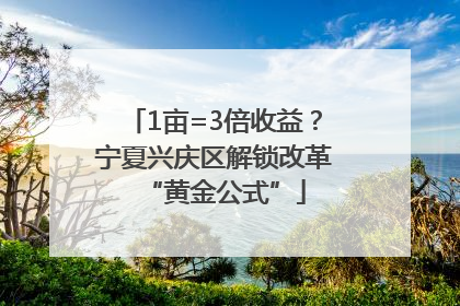 1亩=3倍收益？宁夏兴庆区解锁改革“黄金公式”