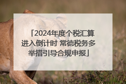 2024年度个税汇算进入倒计时 常德税务多举措引导合规申报