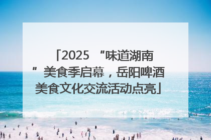 2025 “味道湖南”美食季启幕，岳阳啤酒美食文化交流活动点亮