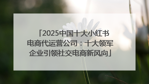 2025中国十大小红书电商代运营公司：十大领军企业引领社交电商新风向