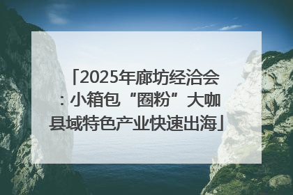 2025年廊坊经洽会：小箱包“圈粉”大咖 县域特色产业快速出海