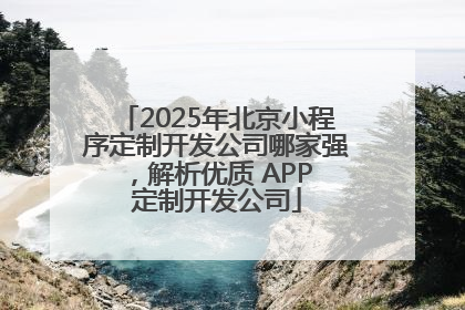 2025年北京小程序定制开发公司哪家强，解析优质 APP 定制开发公司