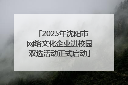 2025年沈阳市网络文化企业进校园双选活动正式启动