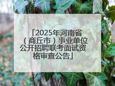 2025年河南省（商丘市）事业单位公开招聘联考面试资格审查公告