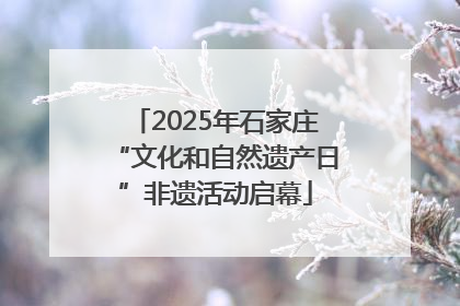 2025年石家庄“文化和自然遗产日”非遗活动启幕