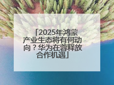 2025年鸿蒙产业生态将有何动向？华为在蓉释放合作机遇