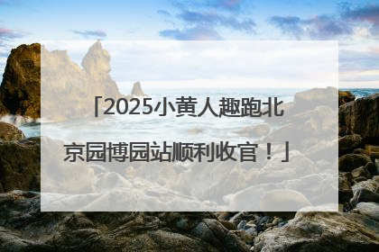 2025小黄人趣跑北京园博园站顺利收官！