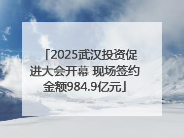 2025武汉投资促进大会开幕 现场签约金额984.9亿元