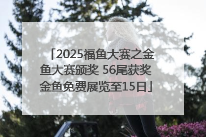 2025福鱼大赛之金鱼大赛颁奖 56尾获奖金鱼免费展览至15日