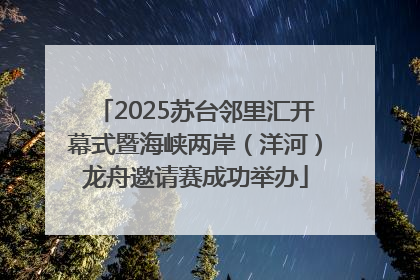 2025苏台邻里汇开幕式暨海峡两岸（洋河）龙舟邀请赛成功举办