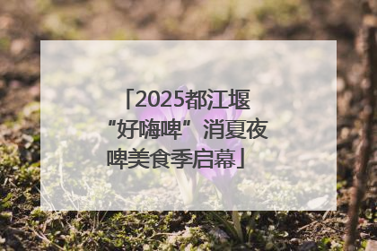 2025都江堰“好嗨啤”消夏夜啤美食季启幕