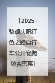 2025骑观庆阳红色之路自行车公开赛爬坡赛落幕