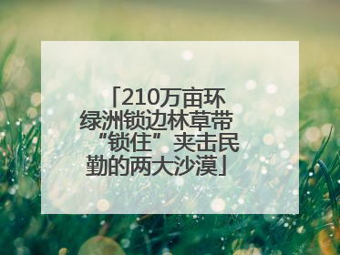 210万亩环绿洲锁边林草带“锁住”夹击民勤的两大沙漠
