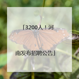 3200人！河南发布招聘公告