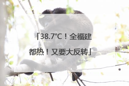 38.7℃！全福建都热！又要大反转