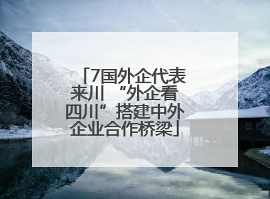 7国外企代表来川 “外企看四川”搭建中外企业合作桥梁